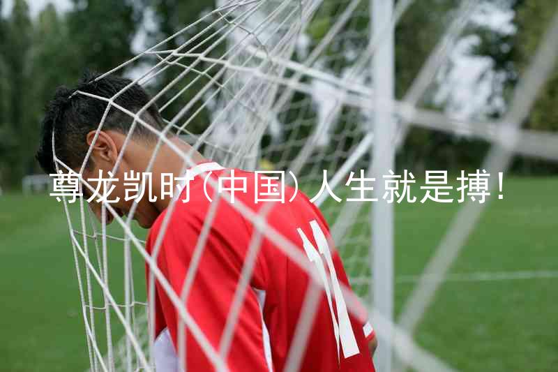尊龙凯时(中国)人生就是搏!